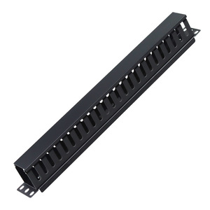 19-inch 4-slot port organiser with cable management level