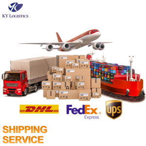 Air Sea DDP LCL International Logistics Service Top 10 China Freight Forwarder